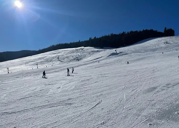 Pod Tatrami Дом отдыха